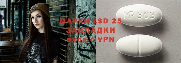 PSILOCYBIN Богданович