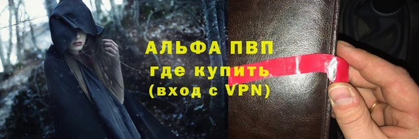 PSILOCYBIN Богданович