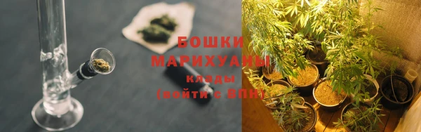 PSILOCYBIN Богданович
