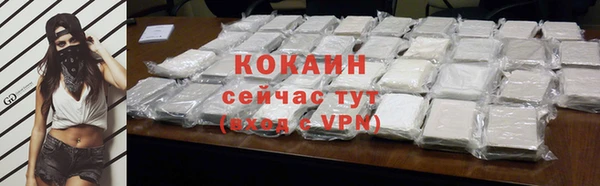 дмт Богородск