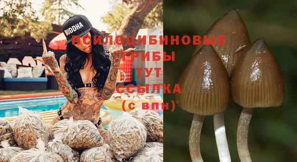 дмт Богородск