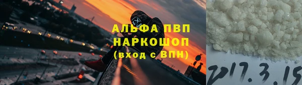 PSILOCYBIN Богданович