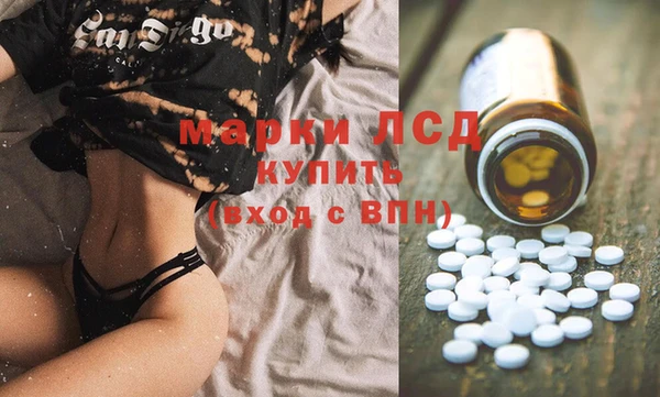 PSILOCYBIN Богданович