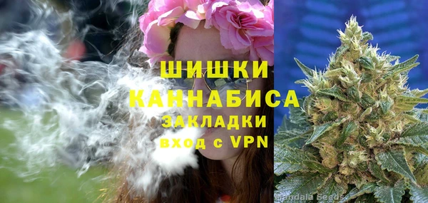 PSILOCYBIN Богданович