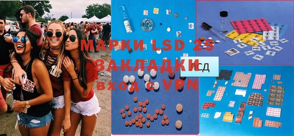 PSILOCYBIN Богданович