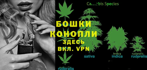 дмт Богородск