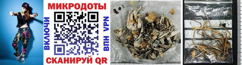 Купить закладки Боготол Галлюциногенные грибы Psilocybe